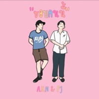 ชอบคนนี้ (feat. Pj) - Single - A.U.N