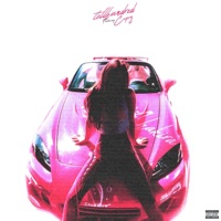 CHAKILA (feat. Cxpy) - Single - TELHUNDRED