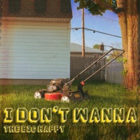I Don't Wanna - Single - The Big Happy