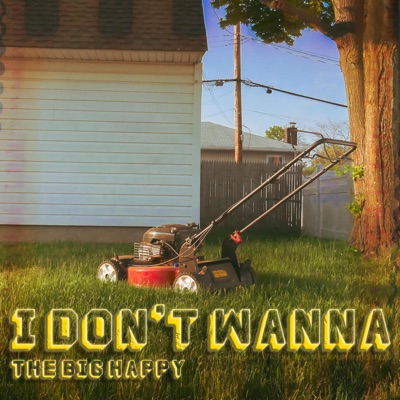 I Don't Wanna - Single