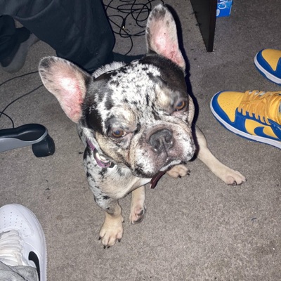 Fade away (feat. Kado the artist) - Single