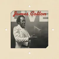 Eyesight to the Blind — James Cotton