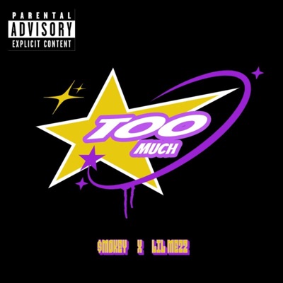 Too Much (feat. $mokey) - Single
