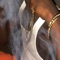 Scarred 4 Life - Haitianfein lyrics