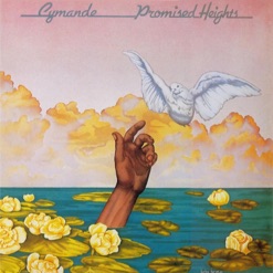 PROMISED HEIGHTS cover art