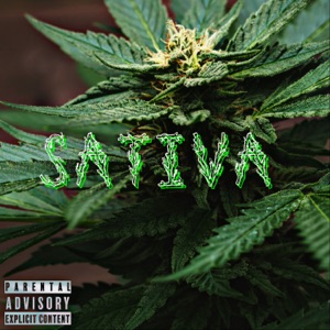 Sativa