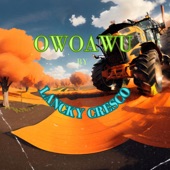 Owoawu artwork