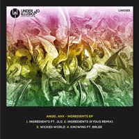 Ingredients - Angel Anx
