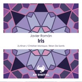 Iris (Zy Khan Remix) artwork