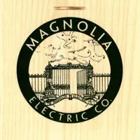 Don't This Look Like the Dark — Magnolia Electric Co.