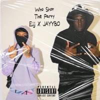 Who Shot the Party (feat. Jayybo) - Single - E.i.j