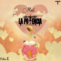 Miel