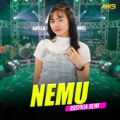 Nemu (Cover) artwork