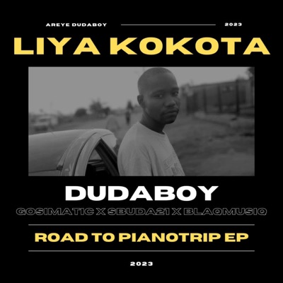 Liya Kokota (feat. Gosimatic, Sbuda21 & Blaqmusiq) - Single