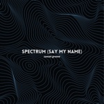Spectrum (Say My Name)