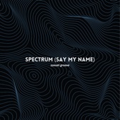 Spectrum (Say My Name) artwork