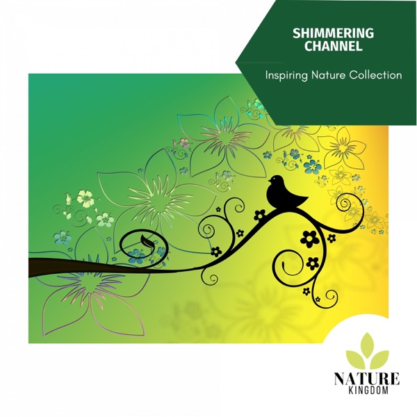 Shimmering Channel - Inspiring Nature Collection