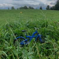 Fahrrad - Single - Bitschu Batschu