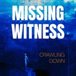 Missing Witness - Run, Hide