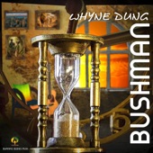 Whyne Dung artwork