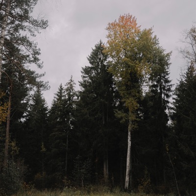 personal hell - Single