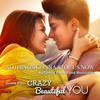 Nothing's Gonna Stop Us Now (from "Crazy Beautiful You") - Morissette & Daniel Padilla