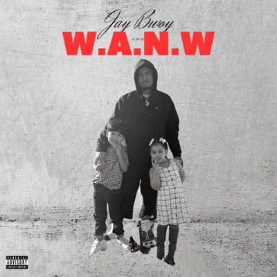 W.A.N.W (wish a nigga would) - Single