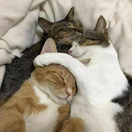 rock w you (feat. Wintfye & Uptempo) rxi