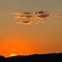 Feber - Single - Amara