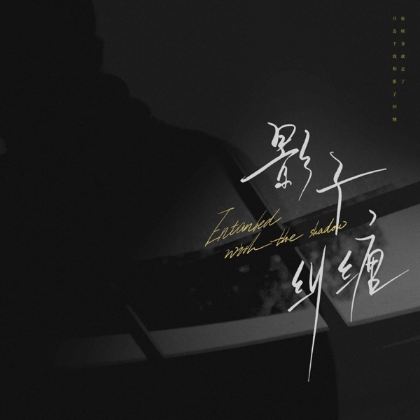影子纠缠 - Single