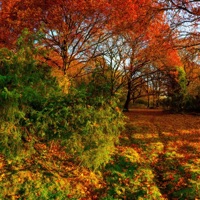 In My Mind - Single - Spicytoast