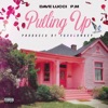 Pulling Up (feat. PMRnB) - Single