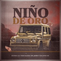 Niño de Oro - Single - Banda La Chacaloza De Jerez Zacatecas