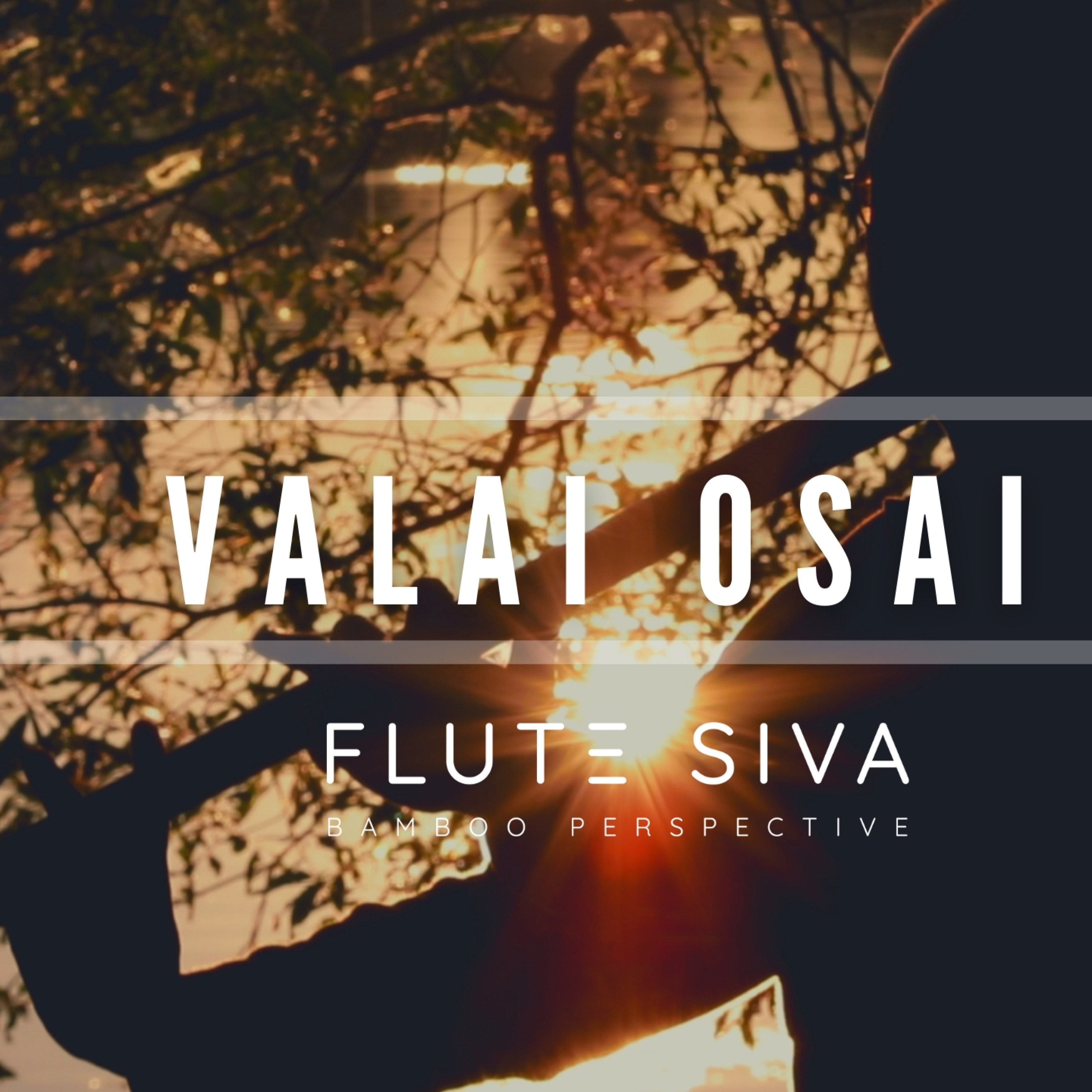 Malu Nipanal Janapada Janapada Video Aramage (Remix) Sonu Nigam