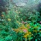 Sunroom - Fetch Tiger lyrics