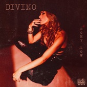 Divino artwork