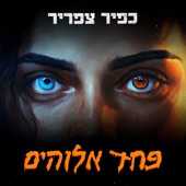 פחד אלוהים artwork