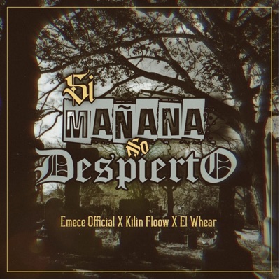 Si Mañana No Despierto - Single