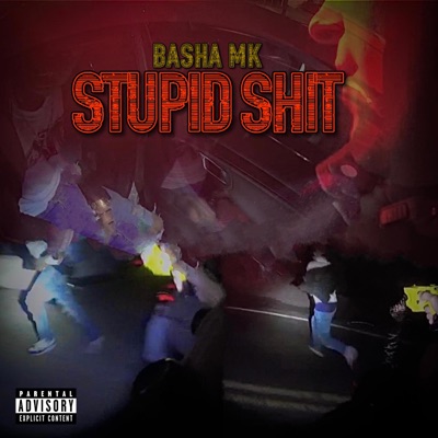 Stupid Shit - Single