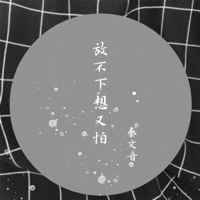放不下想又怕 - Single - 秦文音