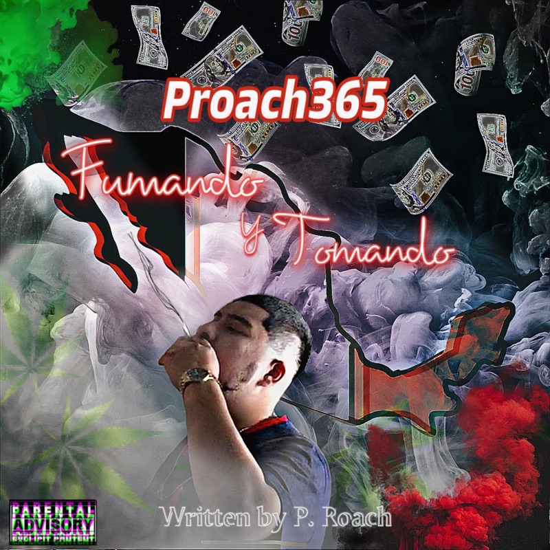 fumando y tomando - Single