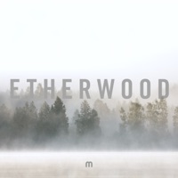 In Stillness (Album Sampler) - Single - Etherwood