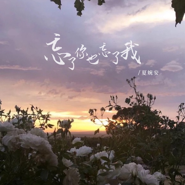忘了你也忘了我 - Single