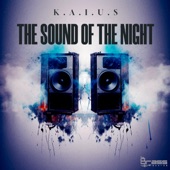 The Sound of the Night artwork