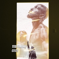 Testimony - Single - PRODBYCECE