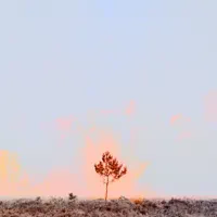 Trust — We Are Creature