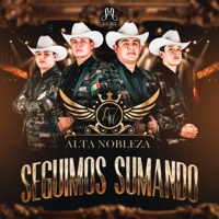 Seguimos Sumando - Alta Nobleza