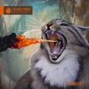 Mouth Music cover art