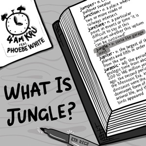 What Is Jungle - Single