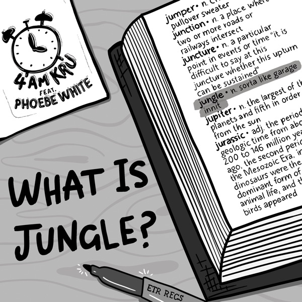 What Is Jungle - Single